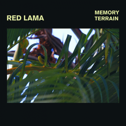 Red Lama : Memory Terrain